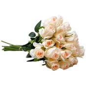 Wholesale - Blush Rose Stem 20.5" C/P 288, UPC: 763713423176